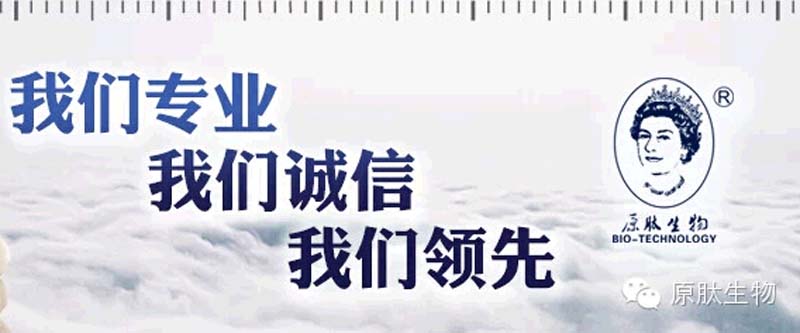 原肽12周年庆典-广州原肽生物科技有限公司-1